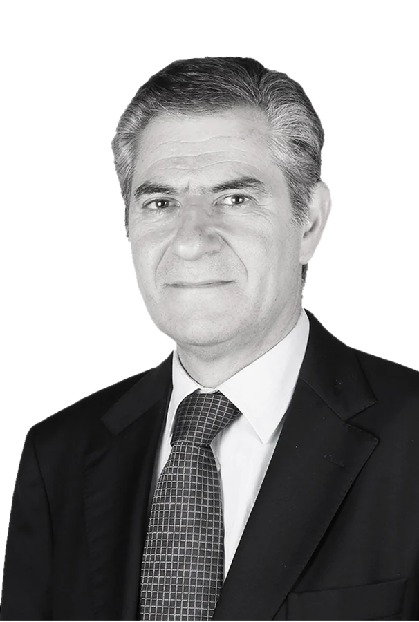 Paulo Gomes da Silva, Advogado